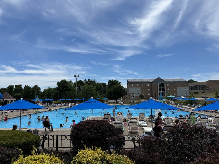 Outdoor pool with families swimming on a summer day